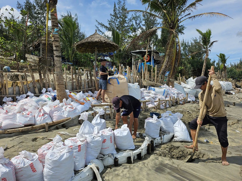 Nỗ lực dựng kè chắn sóng, bảo vệ bờ biển Hội An trước bão Kalmaegi- Ảnh 8. Nỗ lực dựng kè chắn sóng, bảo vệ bờ biển Hội An trước bão Kalmaegi- Ảnh 8.
