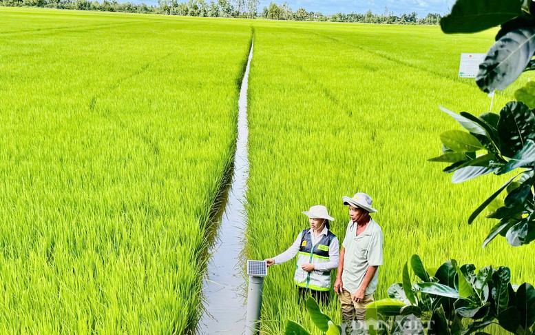 Phát huy truyền thống 80 năm, ngành Nông nghiệp và Môi trường hướng tới chặng đường phát triển mới