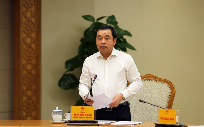 Đặt công tác phòng, chống bão số 13 trong 'tình trạng khẩn cấp hơn, nguy hiểm hơn'- Ảnh 2. Đặt công tác phòng, chống bão số 13 trong 'tình trạng khẩn cấp hơn, nguy hiểm hơn'- Ảnh 2.