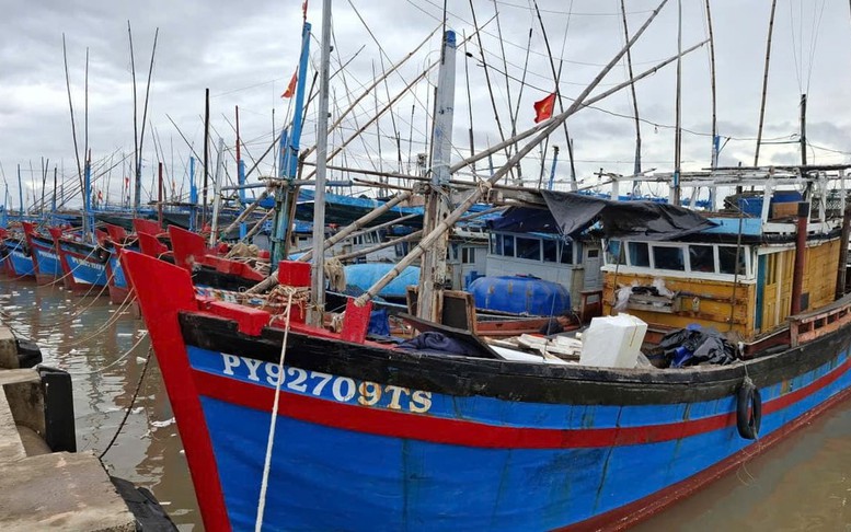 Bão Kalmaegi: Gia Lai cho học sinh nghỉ học; Đắk Lắk cấm biển, lập 3 đoàn kiểm tra