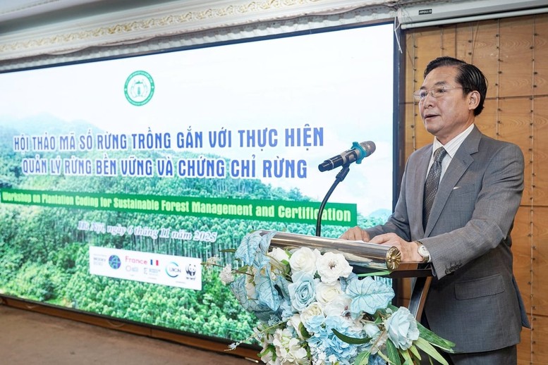 Mã số vùng trồng - nền tảng cho lâm nghiệp hiện đại và minh bạch- Ảnh 1.