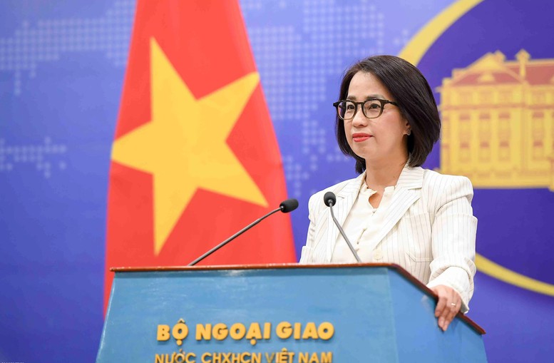 Việt Nam trân trọng sự giúp đỡ của cộng đồng quốc tế trong khắc phục hậu quả thiên tai- Ảnh 1. Việt Nam trân trọng sự giúp đỡ của cộng đồng quốc tế trong khắc phục hậu quả thiên tai- Ảnh 1.