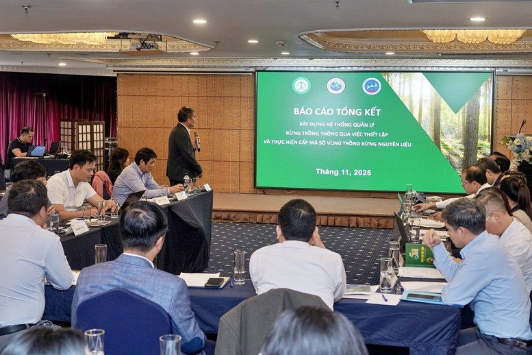 Mã số vùng trồng - nền tảng cho lâm nghiệp hiện đại và minh bạch- Ảnh 2.