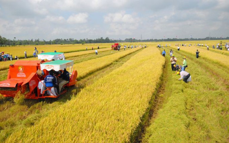 Các trường hợp được miễn thuế sử dụng đất nông nghiệp đến hết ngày 31/12/2030