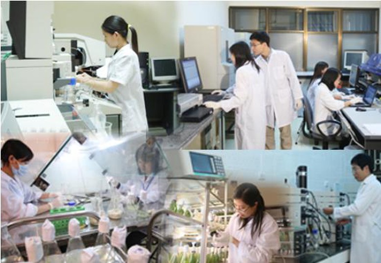 Ban hành Bảng phân loại lĩnh vực khoa học và công nghệ mới- Ảnh 1. Ban hành Bảng phân loại lĩnh vực khoa học và công nghệ mới- Ảnh 1.