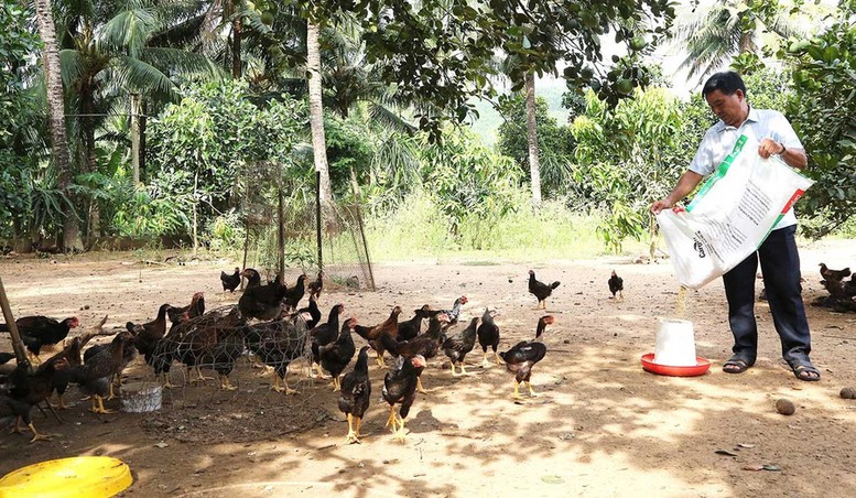 Tín dụng chính sách ủy thác qua các hội, đoàn thể: Nhanh, chính xác và hiệu quả- Ảnh 1. Tín dụng chính sách ủy thác qua các hội, đoàn thể: Nhanh, chính xác và hiệu quả- Ảnh 1.