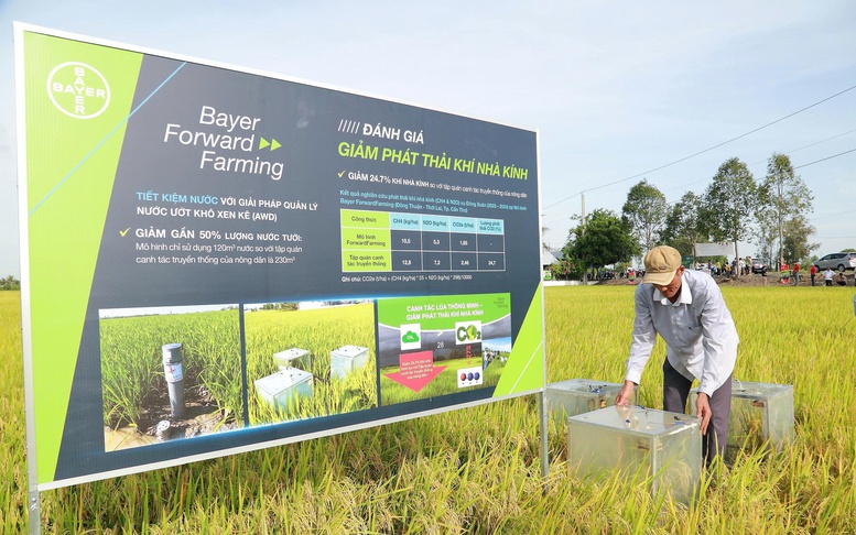 Hợp lực vì nền nông nghiệp xanh, hiện đại và bền vững