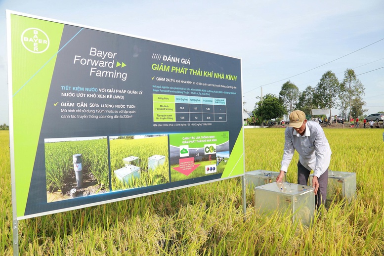 Hợp lực vì nền nông nghiệp xanh, hiện đại và bền vững- Ảnh 2.