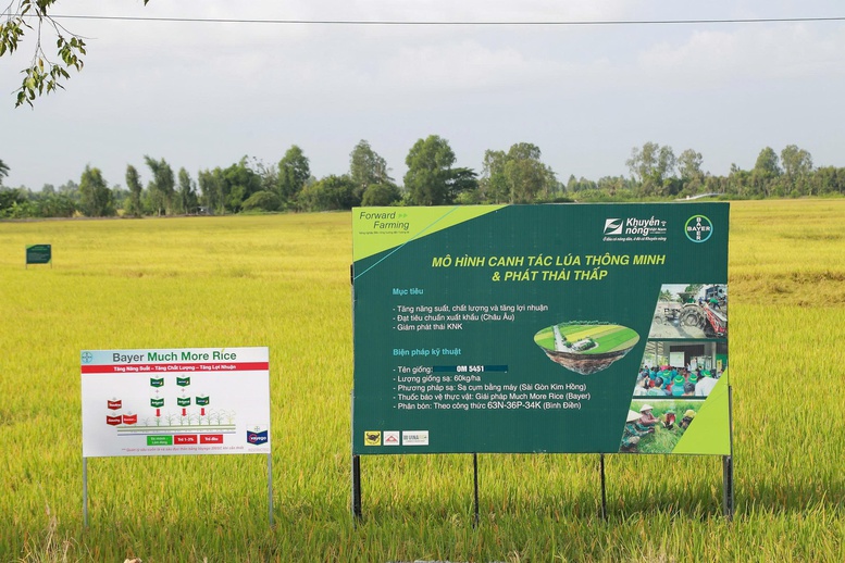 Hợp lực vì nền nông nghiệp xanh, hiện đại và bền vững