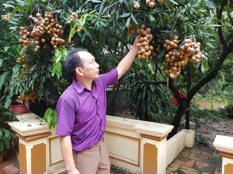 Xây dựng nông thôn mới sau sáp nhập: Hướng tới nông thôn giàu đẹp, văn minh- Ảnh 2. Xây dựng nông thôn mới sau sáp nhập: Hướng tới nông thôn giàu đẹp, văn minh- Ảnh 2.