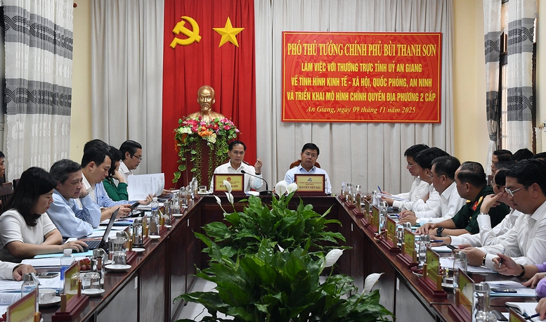 Phó Thủ tướng Bùi Thanh Sơn làm việc với Thường trực Tỉnh uỷ An Giang- Ảnh 1.