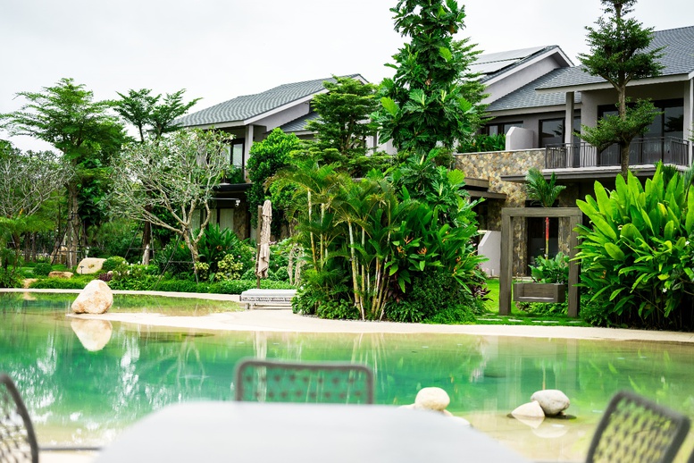 Thưởng thức cuộc sống tại biệt thự rừng lần đầu tiên được Ecopark ra mắt- Ảnh 4.