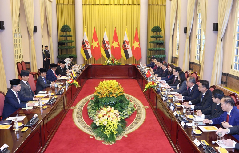 Chủ tịch nước Lương Cường chủ trì lễ đón chính thức Quốc vương Brunei- Ảnh 5.