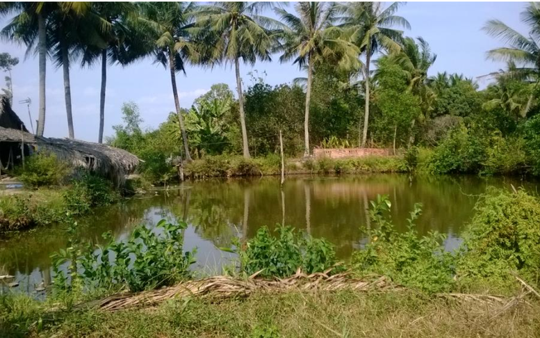 Làm thế nào để được cấp quyền sử dụng theo mục đích đất vườn, ao?