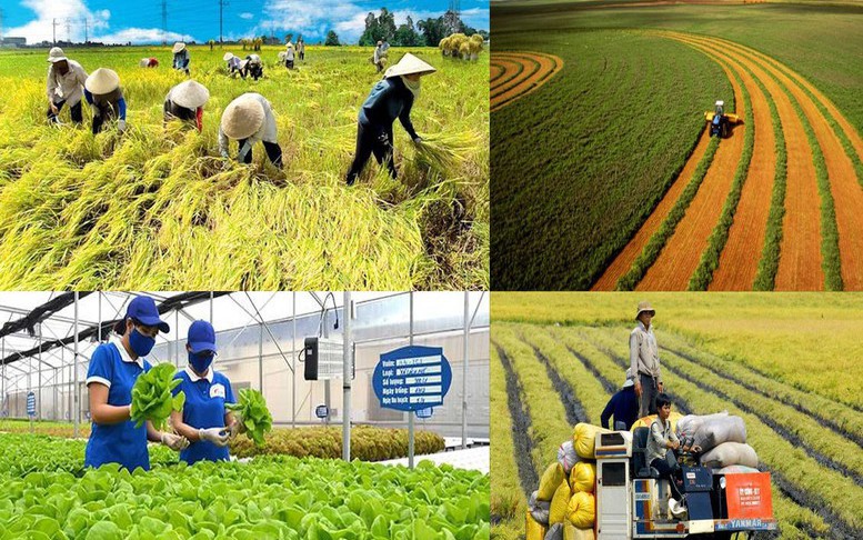 Từ ruộng đồng đến livestream: Hành trình lan toả sản phẩm của nông dân