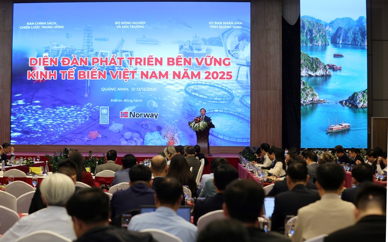 Tiếp tục hoàn thiện chính sách, cơ chế 'kinh tế biển xanh'- Ảnh 3. Tiếp tục hoàn thiện chính sách, cơ chế 'kinh tế biển xanh'- Ảnh 3.