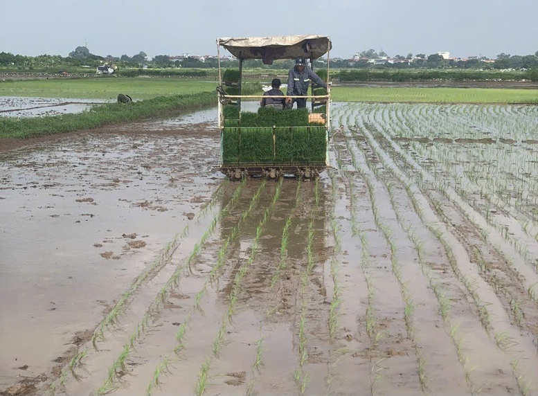 Tập huấn nghiệp vụ – động lực nâng cao năng lực quản lý cho hợp tác xã Hà Nội- Ảnh 2. Tập huấn nghiệp vụ – động lực nâng cao năng lực quản lý cho hợp tác xã Hà Nội- Ảnh 2.