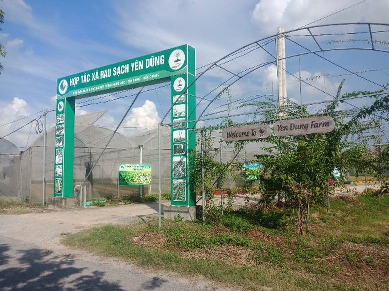 Bắc Ninh phát huy vai trò hợp tác xã: Động lực làm mới diện mạo nông thôn- Ảnh 1. Bắc Ninh phát huy vai trò hợp tác xã: Động lực làm mới diện mạo nông thôn- Ảnh 1.