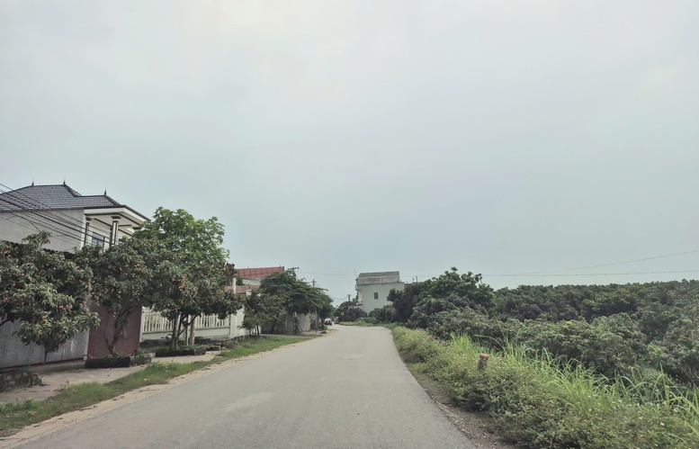 Xây dựng nông thôn mới gắn với giảm nghèo bền vững: Lấy người dân làm trung tâm phát triển- Ảnh 2.