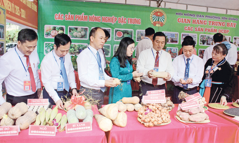 Nông dân Bắc Ninh làm chủ kỹ thuật, chung sức dựng xây nông thôn mới- Ảnh 1.