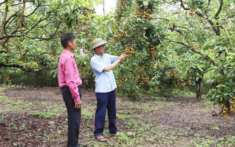 Xây dựng nông thôn mới gắn với giảm nghèo bền vững: Lấy người dân làm trung tâm phát triển