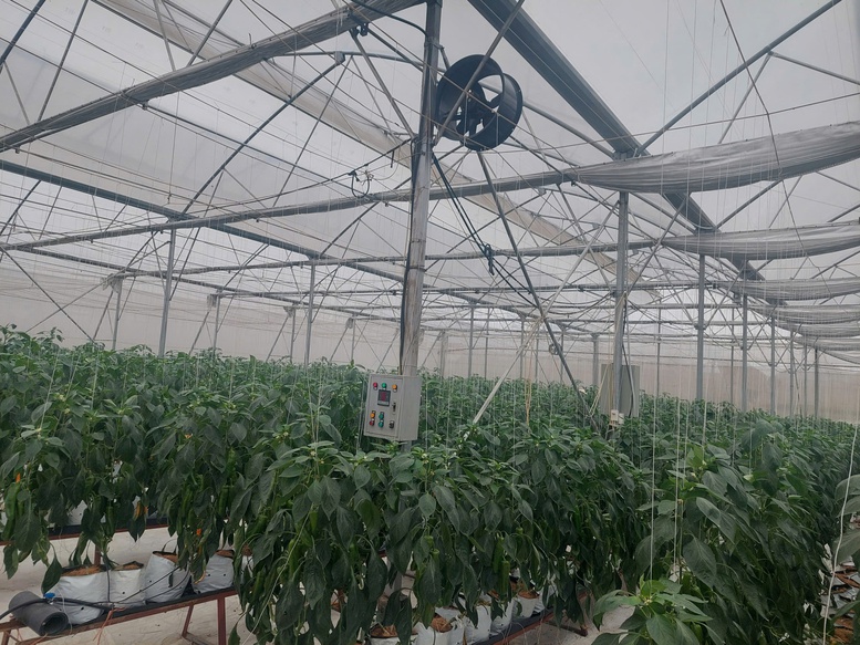 Bắc Ninh kiến tạo nông thôn mới hiện đại từ chuyển đổi số- Ảnh 1.