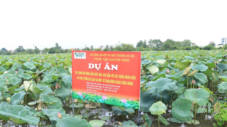 Dự án khuyến nông tạo đà cho phát triển nông nghiệp gắn với làng nghề- Ảnh 1.