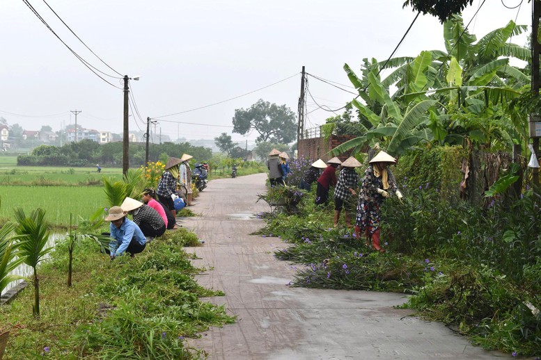 Phụ nữ Bắc Ninh – Dấu ấn bền bỉ trong hành trình xây dựng nông thôn mới- Ảnh 1. Phụ nữ Bắc Ninh – Dấu ấn bền bỉ trong hành trình xây dựng nông thôn mới- Ảnh 1.