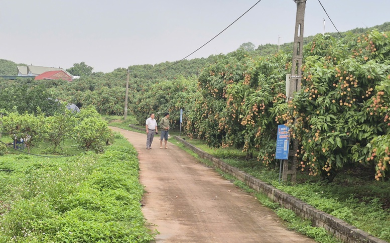 Nông dân Bắc Ninh làm chủ kỹ thuật, chung sức dựng xây nông thôn mới