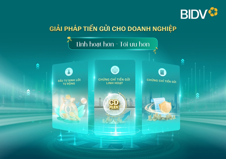BIDV: Bộ ba giải pháp thúc đẩy hiệu quả dòng tiền trong nền kinh tế- Ảnh 1.