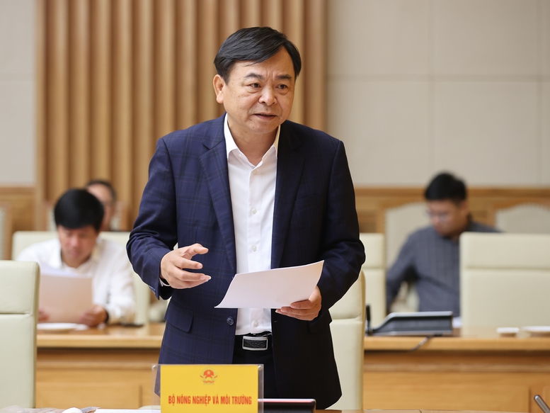 Thủ tướng: Không có lý do để trì hoãn 'Chiến dịch Quang Trung' xây dựng lại nhà ở cho người dân- Ảnh 3.