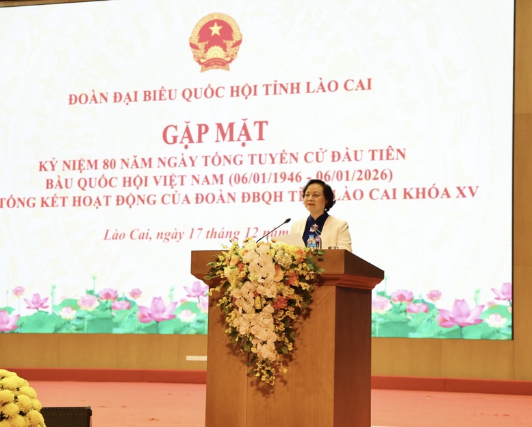 Phó Thủ tướng Phạm Thị Thanh Trà dự tổng kết nhiệm kỳ Quốc hội khóa XV của Đoàn ĐBQH tỉnh Lào Cai- Ảnh 3.