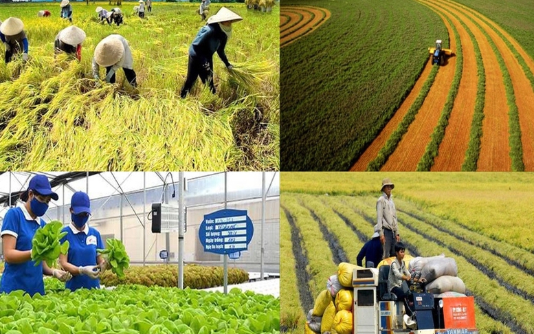 Tín dụng xanh thúc đẩy chuyển đổi nông nghiệp Việt Nam theo hướng sản xuất bền vững