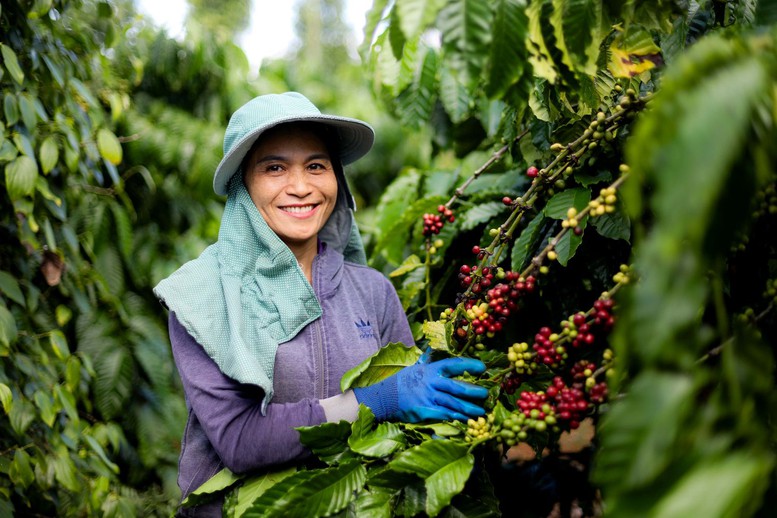 Kinh tế tuần hoàn là động lực chuyển đổi xanh- Ảnh 2.