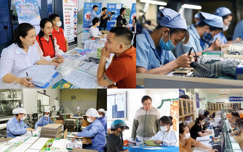 Quy định về lao động, việc làm trong Trung tâm tài chính quốc tế tại Việt Nam