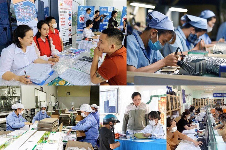 Quy định về lao động, việc làm trong Trung tâm tài chính quốc tế tại Việt Nam- Ảnh 1.