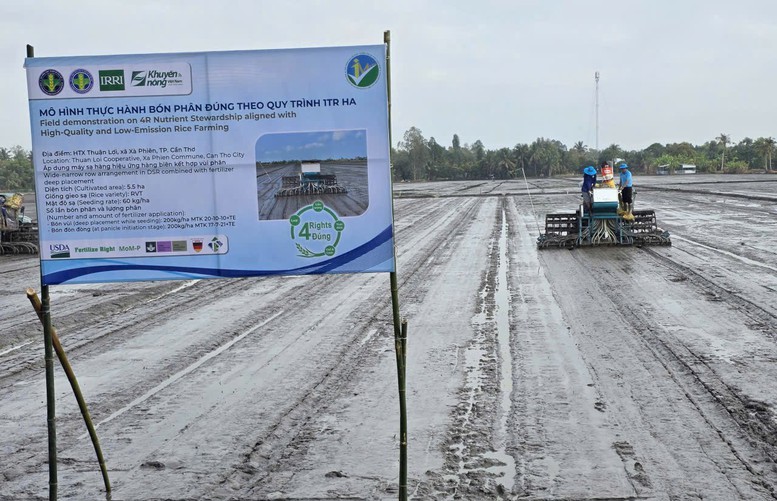 Canh tác lúa xanh với 'bón phân đúng': Từ chủ trương đến thực hành trên đồng ruộng- Ảnh 1.