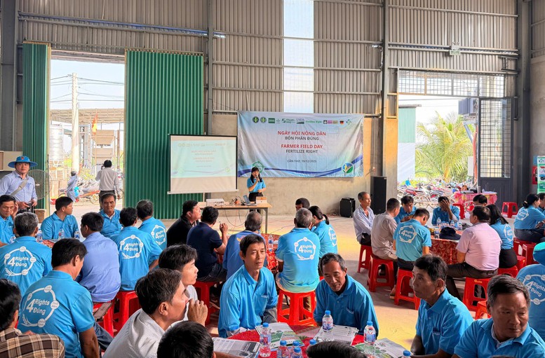 Canh tác lúa xanh với 'bón phân đúng': Từ chủ trương đến thực hành trên đồng ruộng- Ảnh 2.