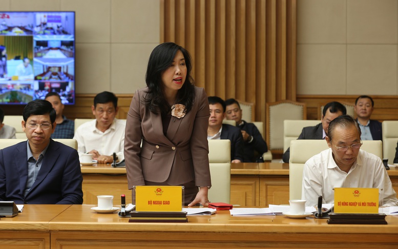 Kiểm tra, xử lý vi phạm khai thác IUU phải thực chất, minh bạch, có bằng chứng rõ ràng- Ảnh 2.