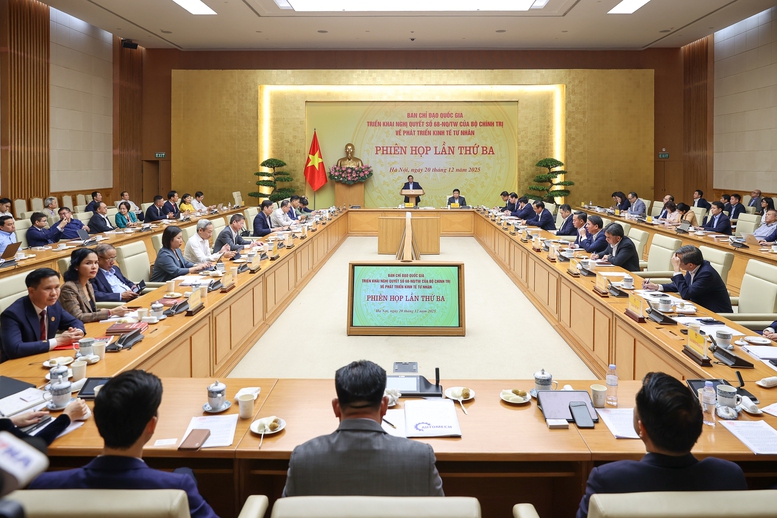 Thủ tướng: Củng cố niềm tin, hành động thực chất, hiệu quả, đột phá để phát triển kinh tế tư nhân- Ảnh 8. Thủ tướng: Củng cố niềm tin, hành động thực chất, hiệu quả, đột phá để phát triển kinh tế tư nhân- Ảnh 8.