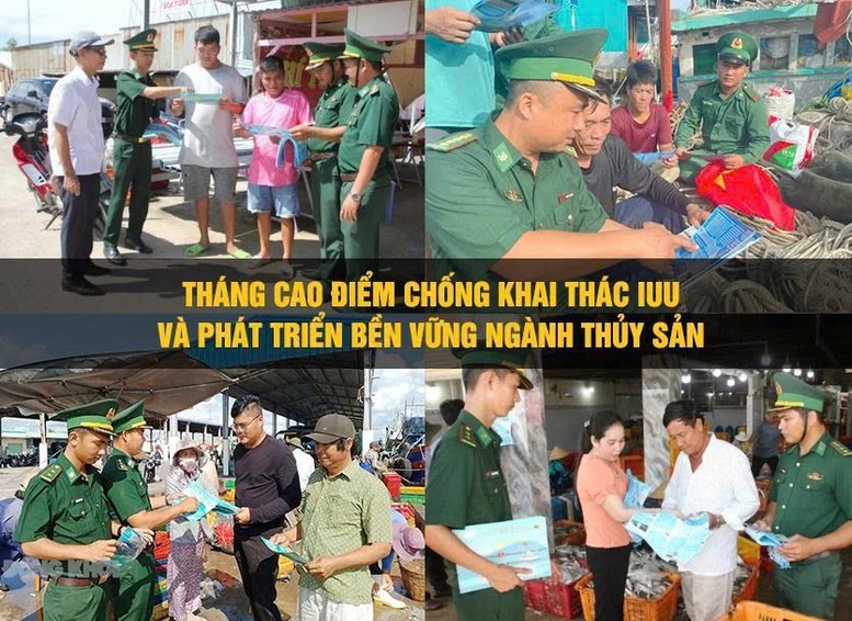 Cà Mau tạo chuyển biến toàn diện trong chống khai thác IUU- Ảnh 1.