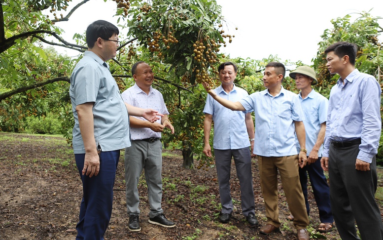 Phát triển sản phẩm OCOP vươn tầm xuất khẩu nước ngoài