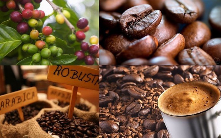 THỊ TRƯỜNG HÀNG HÓA: Dòng tiền quay lại, MXV-Index tăng hơn 1%