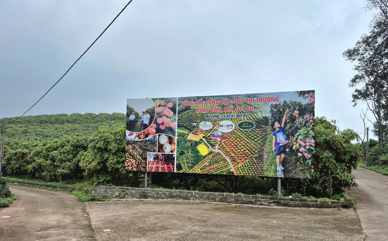 Đổi mới tư duy phát triển nông nghiệp: Từ sản xuất truyền thống đến kinh tế nông nghiệp hiện đại- Ảnh 2.