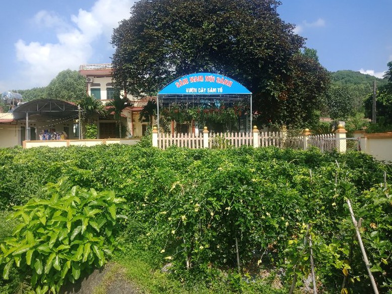 Hành trình OCOP Bắc Ninh: Từ sản vật quê hương đến thương hiệu vươn xa- Ảnh 1.