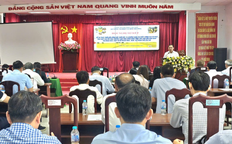 Cần Thơ quyết liệt triển khai Đề án 1 triệu ha lúa, hướng tới sản xuất xanh, phát thải thấp bền vững- Ảnh 1.