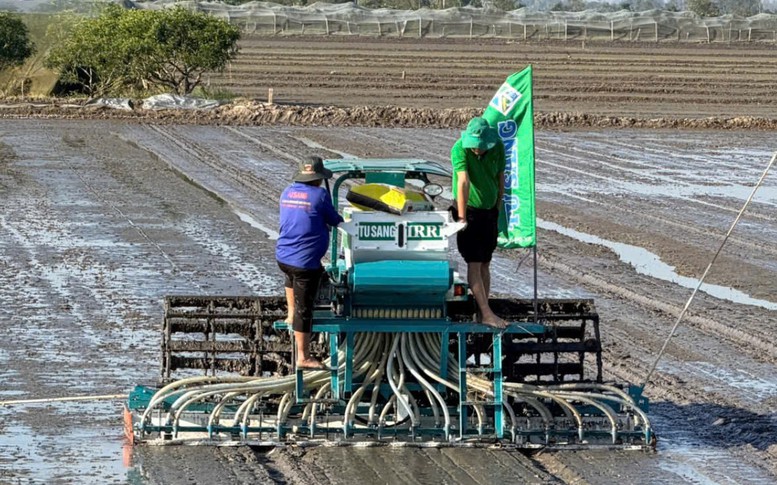 Cần Thơ quyết liệt triển khai Đề án 1 triệu ha lúa, hướng tới sản xuất xanh, phát thải thấp bền vững