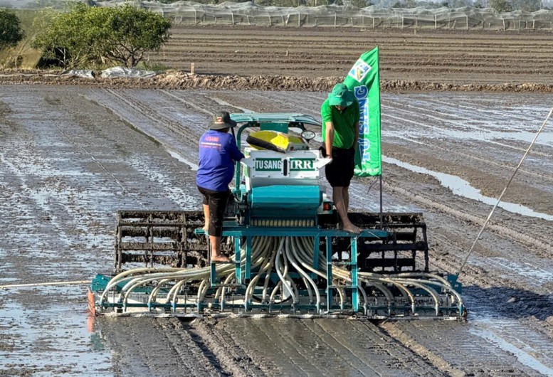 Cần Thơ quyết liệt triển khai Đề án 1 triệu ha lúa, hướng tới sản xuất xanh, phát thải thấp bền vững- Ảnh 2.