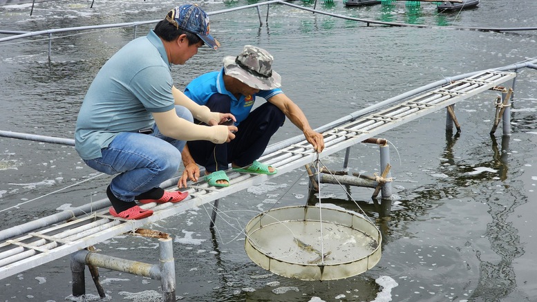 Quỹ Coca-Cola và IUCN chung tay bảo vệ vùng ven biển Đồng bằng sông Cửu Long- Ảnh 2.