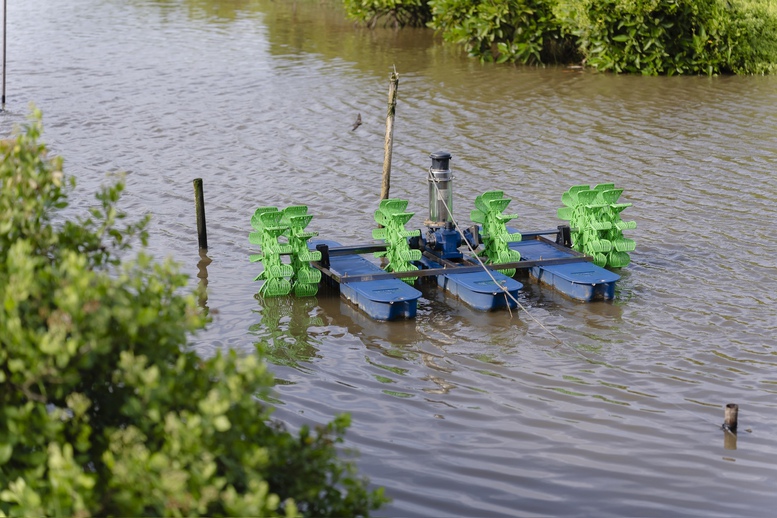 Quỹ Coca-Cola và IUCN chung tay bảo vệ vùng ven biển Đồng bằng sông Cửu Long- Ảnh 3.